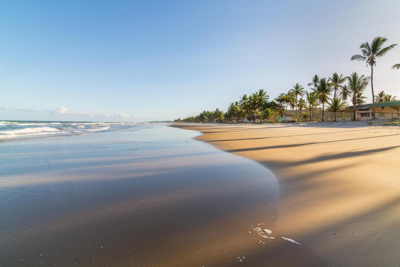 Belissimo Apto A 500M Praias Do Sul Ilhéus Екстериор снимка